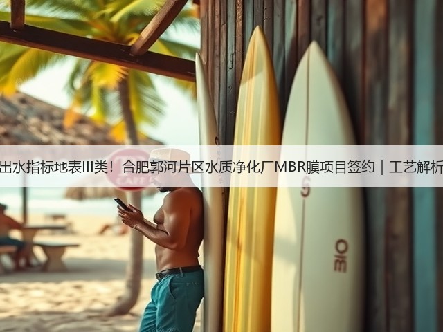 出水指标地表III类！合肥郭河片区水质净化厂MBR膜项目签约｜工艺解析(图3)
