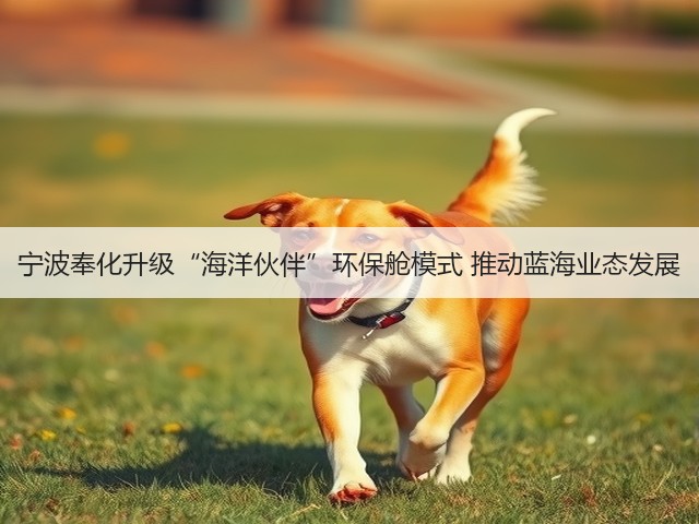 宁波奉化升级“海洋伙伴”环保舱模式 推动蓝海业态发展(图1)
