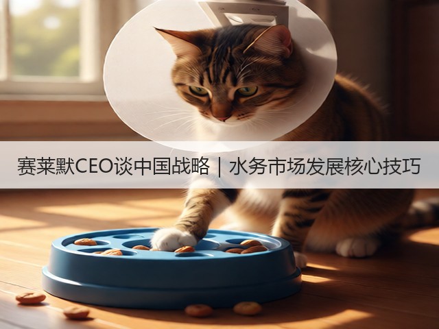 赛莱默CEO谈中国战略｜水务市场发展核心技巧(图1)