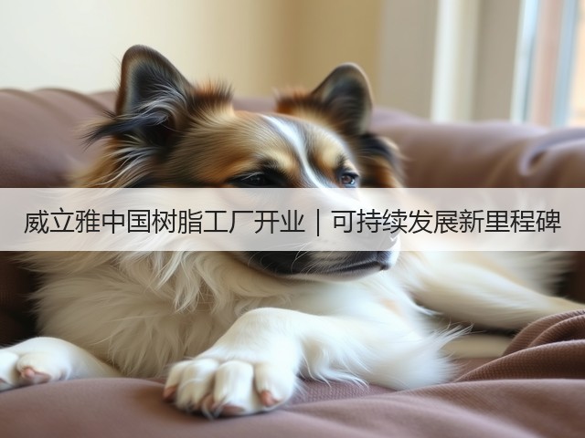 威立雅中国树脂工厂开业｜可持续发展新里程碑(图3)