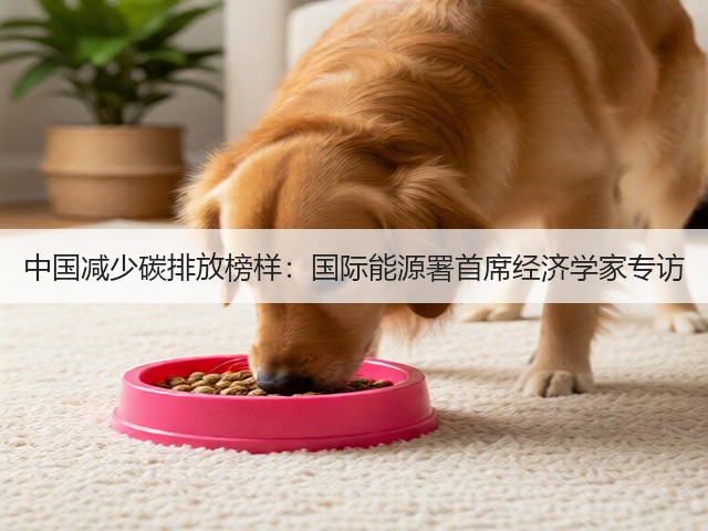 中国减少碳排放榜样：国际能源署首席经济学家专访(图2)