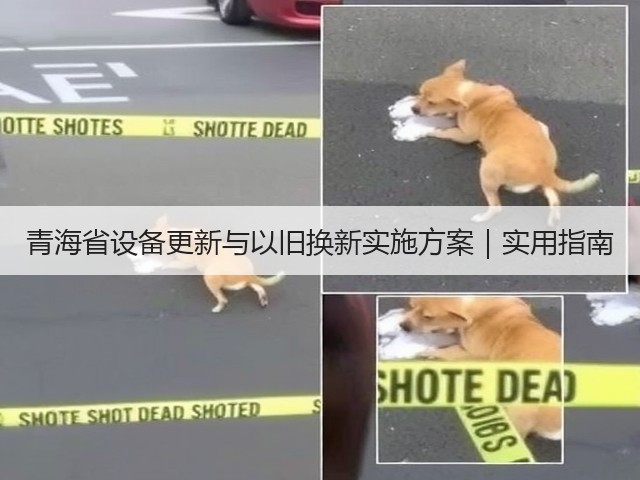 青海省设备更新与以旧换新实施方案｜实用指南(图3)