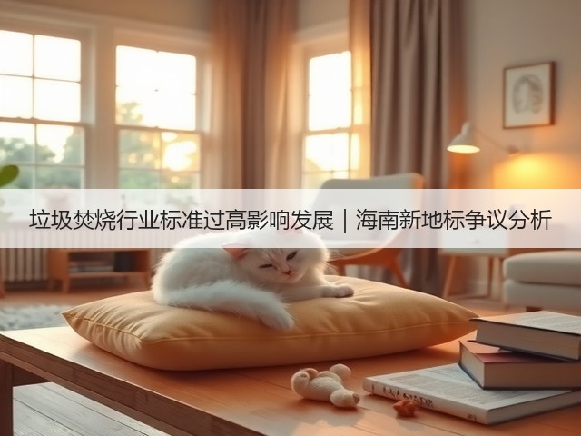 垃圾焚烧行业标准过高影响发展｜海南新地标争议分析(图3)