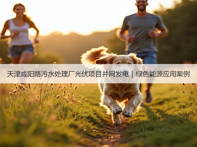 天津咸阳路污水处理厂光伏项目并网发电｜绿色能源应用案例(图3)