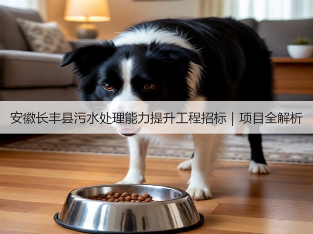 安徽长丰县污水处理能力提升工程招标｜项目全解析(图3)