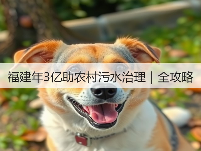 福建年3亿助农村污水治理｜全攻略(图1)