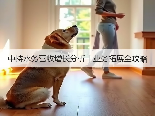 中持水务营收增长分析｜业务拓展全攻略(图3)