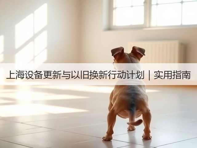 上海设备更新与以旧换新行动计划｜实用指南(图3)