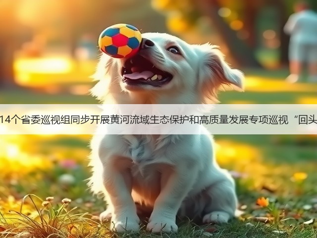 山东14个省委巡视组同步开展黄河流域生态保护和高质量发展专项巡视“回头看”(图1) 山东14个省委巡视组同步开展黄河流域生态保护和高质量发展专项巡视“回头看”(图1)