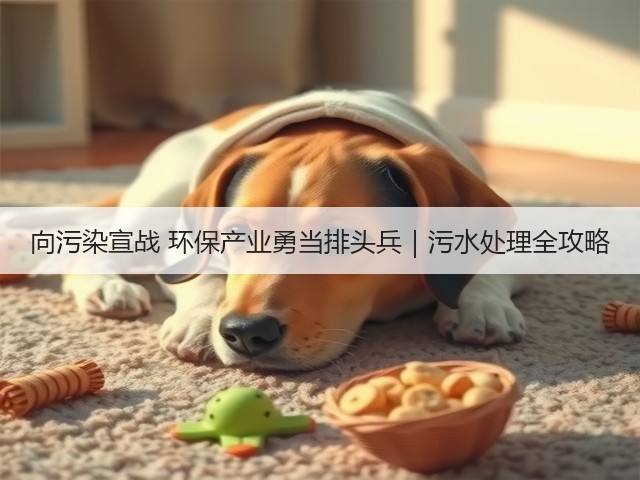 向污染宣战 环保产业勇当排头兵｜污水处理全攻略(图1)