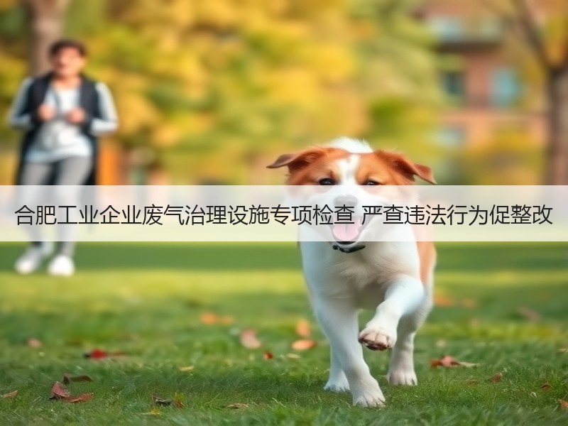 合肥工业企业废气治理设施专项检查 严查违法行为促整改