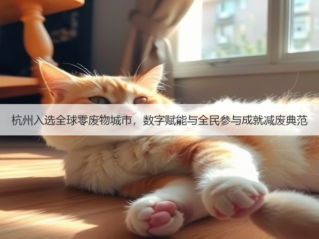 杭州入选全球零废物城市，数字赋能与全民参与成就减废典范(图1)