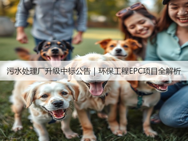 污水处理厂升级中标公告｜环保工程EPC项目全解析(图3)