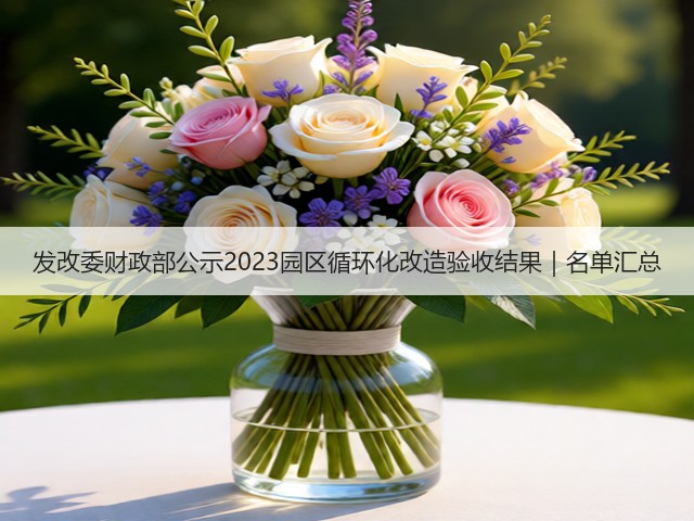发改委财政部公示2023园区循环化改造验收结果｜名单汇总(图1)