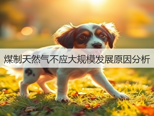煤制天然气不应大规模发展原因分析(图1)