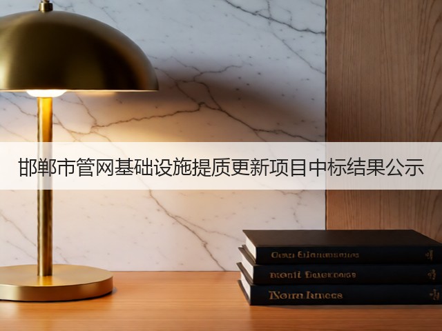 邯郸市管网基础设施提质更新项目中标结果公示(图2)