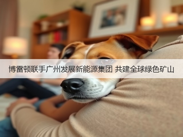 博雷顿联手广州发展新能源集团 共建全球绿色矿山(图2)