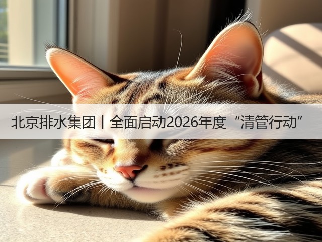 北京排水集团丨全面启动2026年度“清管行动”(图1)