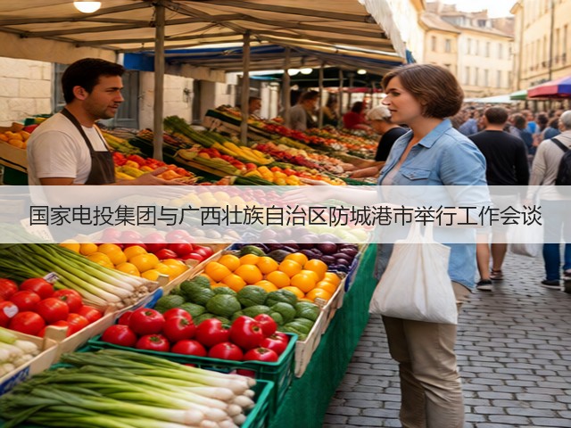 国家电投集团与广西壮族自治区防城港市举行工作会谈(图3)