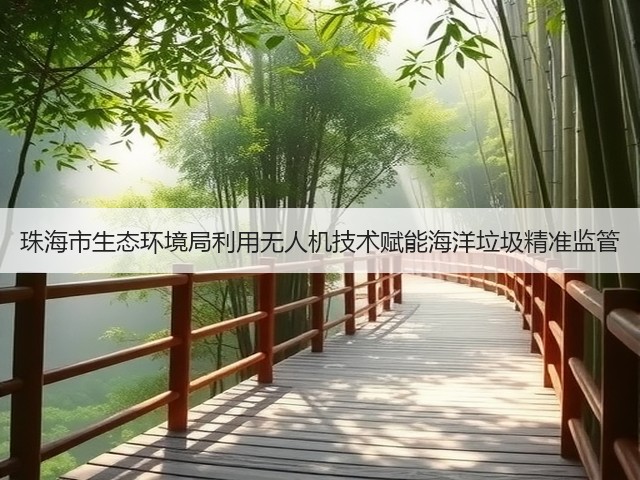 珠海市生态环境局利用无人机技术赋能海洋垃圾精准监管(图3)