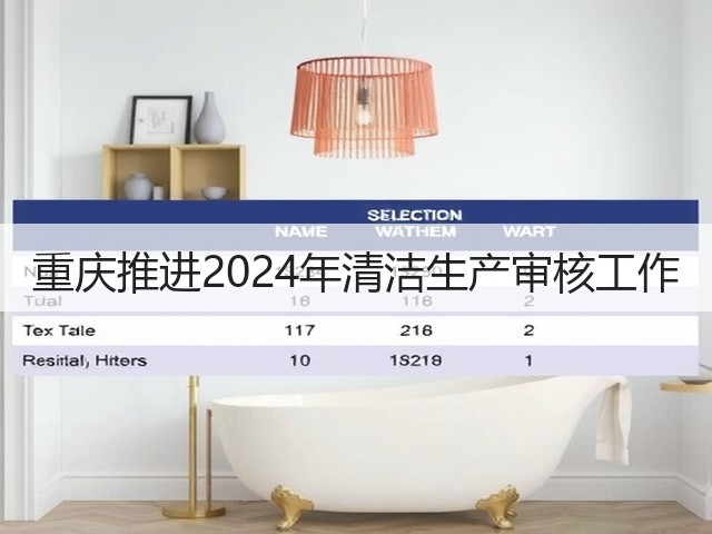 重庆推进2024年清洁生产审核工作(图3)