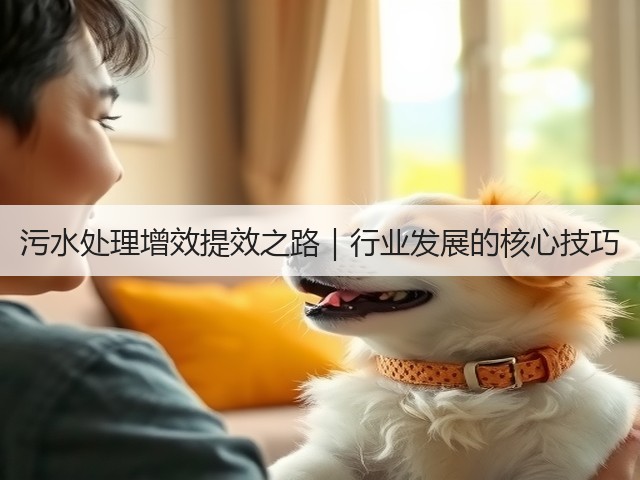 污水处理增效提效之路｜行业发展的核心技巧(图1)