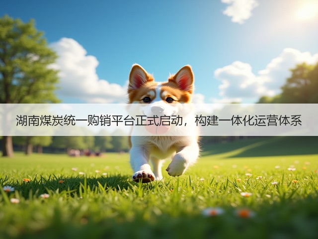 湖南煤炭统一购销平台正式启动，构建一体化运营体系(图2)