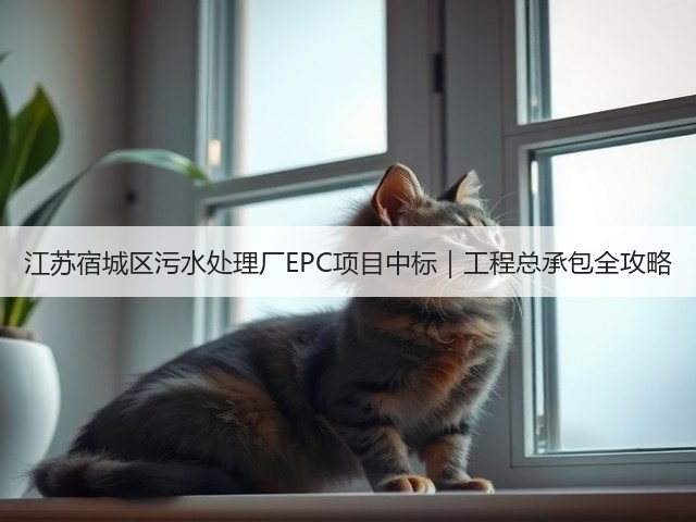 江苏宿城区污水处理厂EPC项目中标｜工程总承包全攻略(图3)