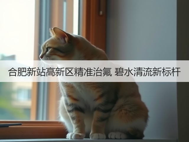 合肥新站高新区精准治氟 碧水清流新标杆(图2)
