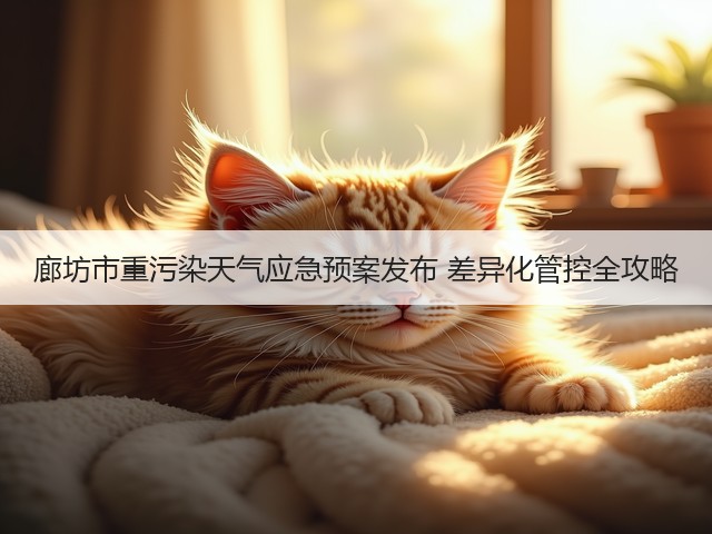廊坊市重污染天气应急预案发布 差异化管控全攻略(图1)