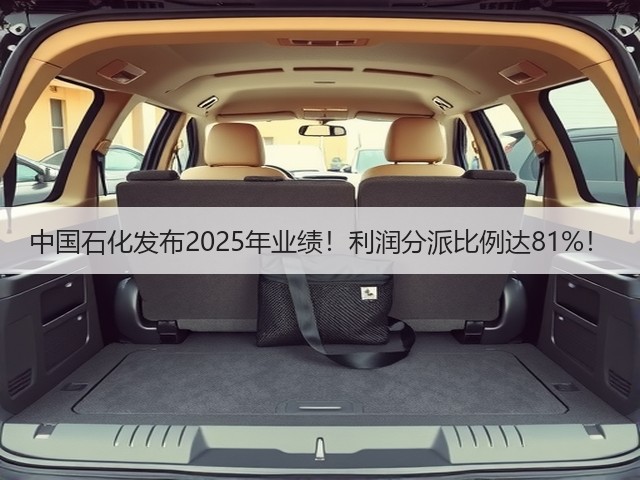 中国石化发布2025年业绩！利润分派比例达81%！(图1)