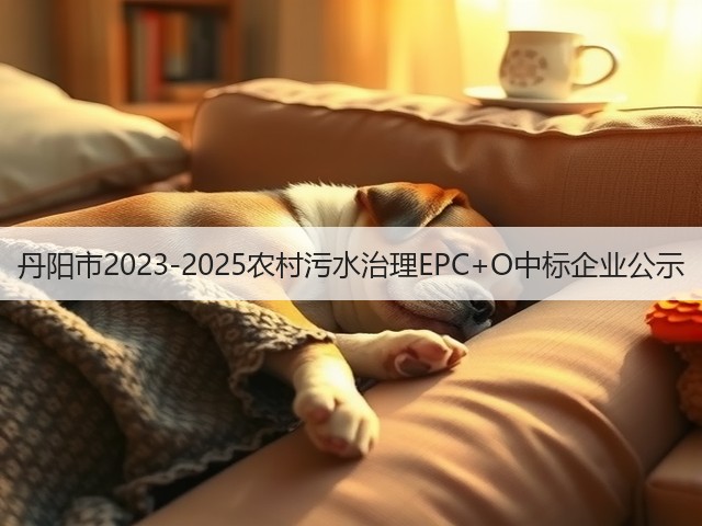 丹阳市2023-2025农村污水治理EPC+O中标企业公示(图3) 丹阳市2023-2025农村污水治理EPC+O中标企业公示(图3)