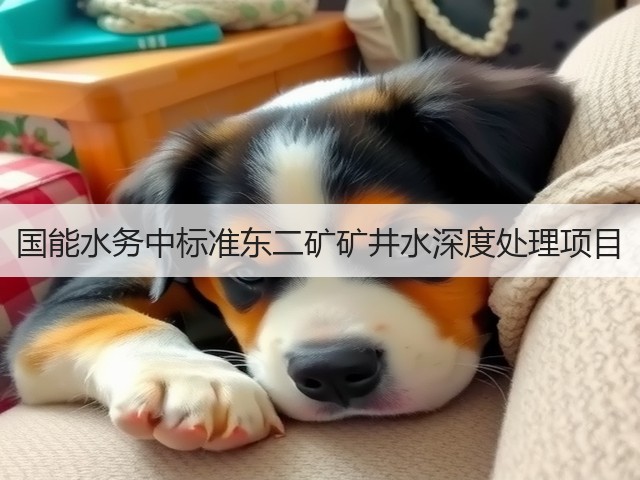 国能水务中标准东二矿矿井水深度处理项目(图1)