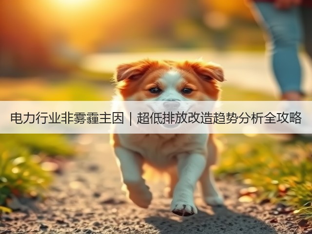 电力行业非雾霾主因｜超低排放改造趋势分析全攻略(图1)