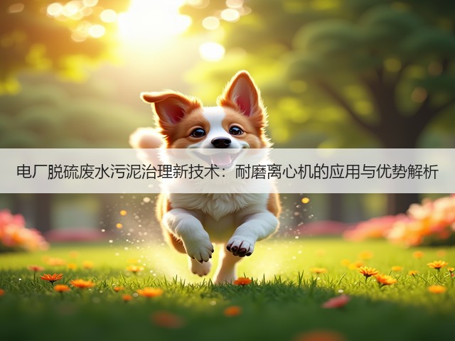 电厂脱硫废水污泥治理新技术：耐磨离心机的应用与优势解析(图1)