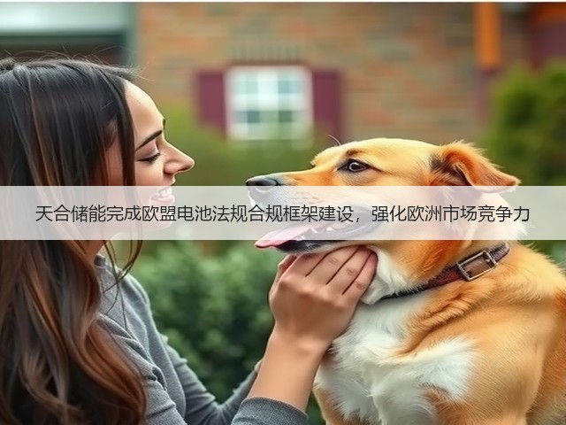 天合储能完成欧盟电池法规合规框架建设，强化欧洲市场竞争力(图1)