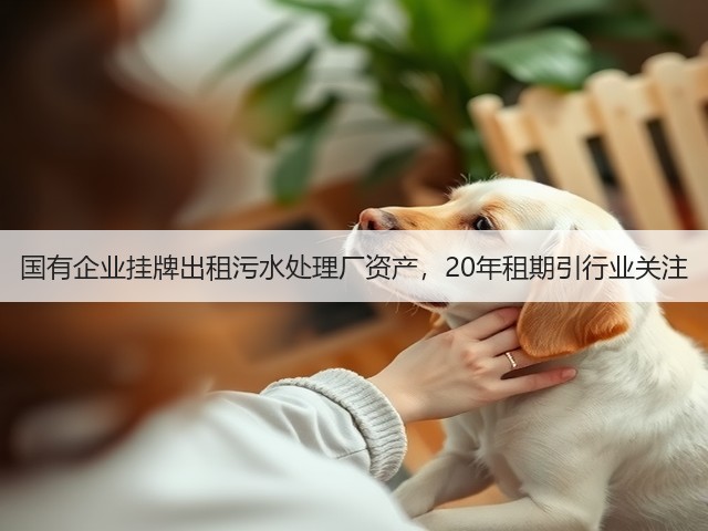 国有企业挂牌出租污水处理厂资产，20年租期引行业关注(图2)