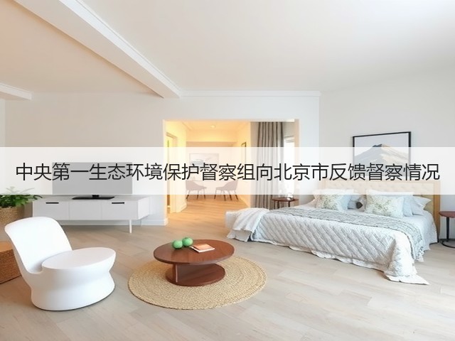 中央第一生态环境保护督察组向北京市反馈督察情况(图1)