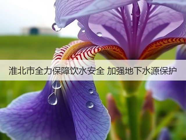 淮北市全力保障饮水安全 加强地下水源保护(图1)