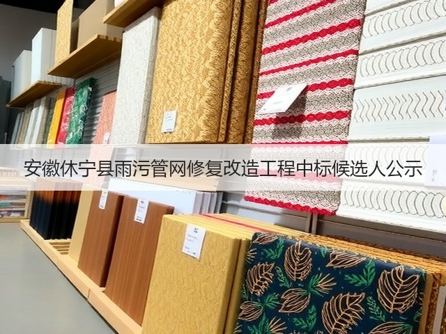 安徽休宁县雨污管网修复改造工程中标候选人公示(图2)