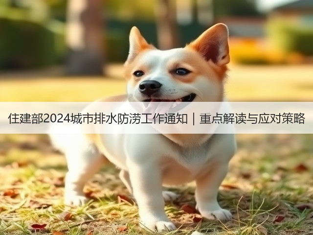 住建部2024城市排水防涝工作通知｜重点解读与应对策略(图2)
