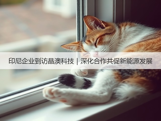 印尼企业到访晶澳科技｜深化合作共促新能源发展(图3)