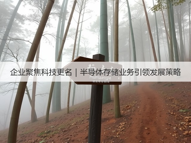 企业聚焦科技更名|半导体存储业务引领发展策略(图1) 企业聚焦科技更名|半导体存储业务引领发展策略(图1)