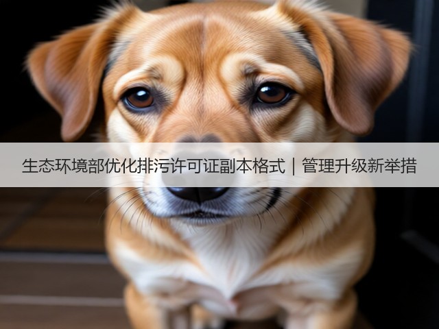 生态环境部优化排污许可证副本格式｜管理升级新举措(图2)