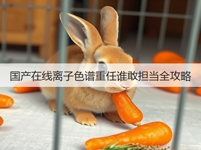 国产在线离子色谱重任谁敢担当全攻略(图3)