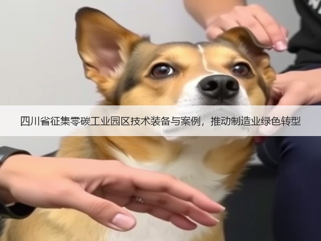 四川省征集零碳工业园区技术装备与案例，推动制造业绿色转型(图3)