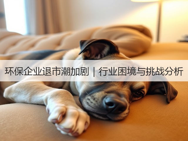 环保企业退市潮加剧|行业困境与挑战分析(图3) 环保企业退市潮加剧|行业困境与挑战分析(图3)