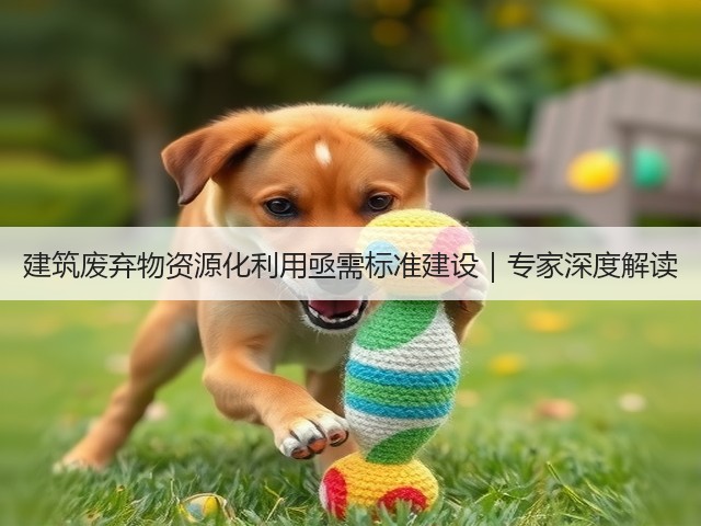 建筑废弃物资源化利用亟需标准建设｜专家深度解读(图1)