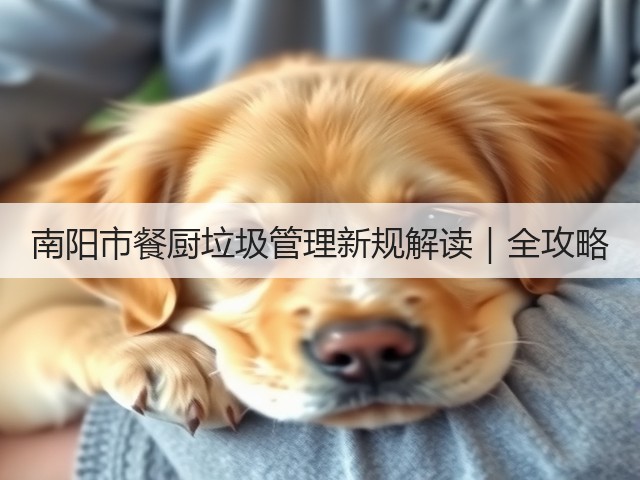 南阳市餐厨垃圾管理新规解读｜全攻略(图1)