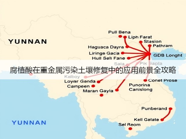 腐植酸在重金属污染土壤修复中的应用前景全攻略(图3) 腐植酸在重金属污染土壤修复中的应用前景全攻略(图3)